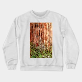 Rain Forest Crewneck Sweatshirt